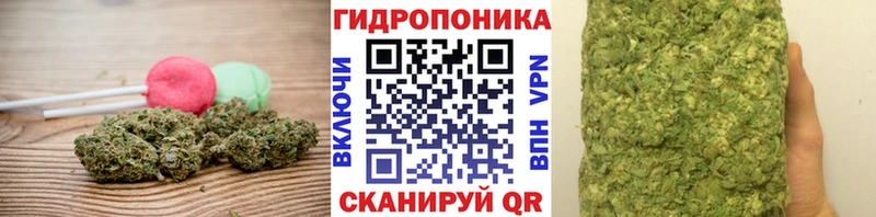 блэк спрут вход Питкяранта Еда ТГК конопля