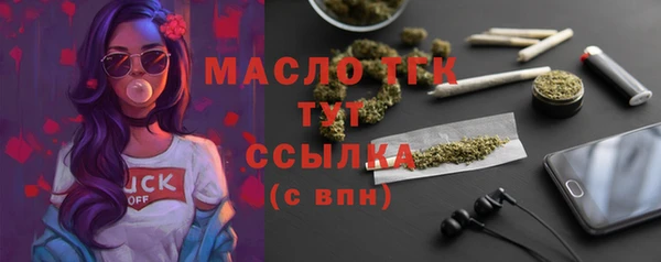крисы Сатка
