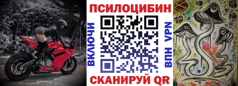 Псилоцибиновые грибы мухоморы  Питкяранта 